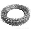 China Electro Galvanized Razor Barbed Wire Hot Sale Supplier